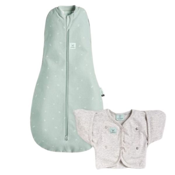 Baby kingdom ergopouch hotsell