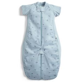 ErgoPouch Sleep Suit Bag 2 4yrs 1.0Tog Dragonflies