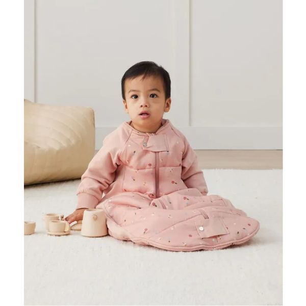 Baby kingdom ergopouch online